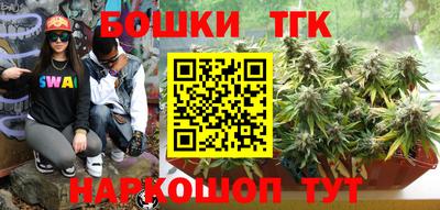 молекула духа Будённовск