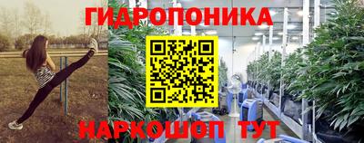 молекула духа Будённовск