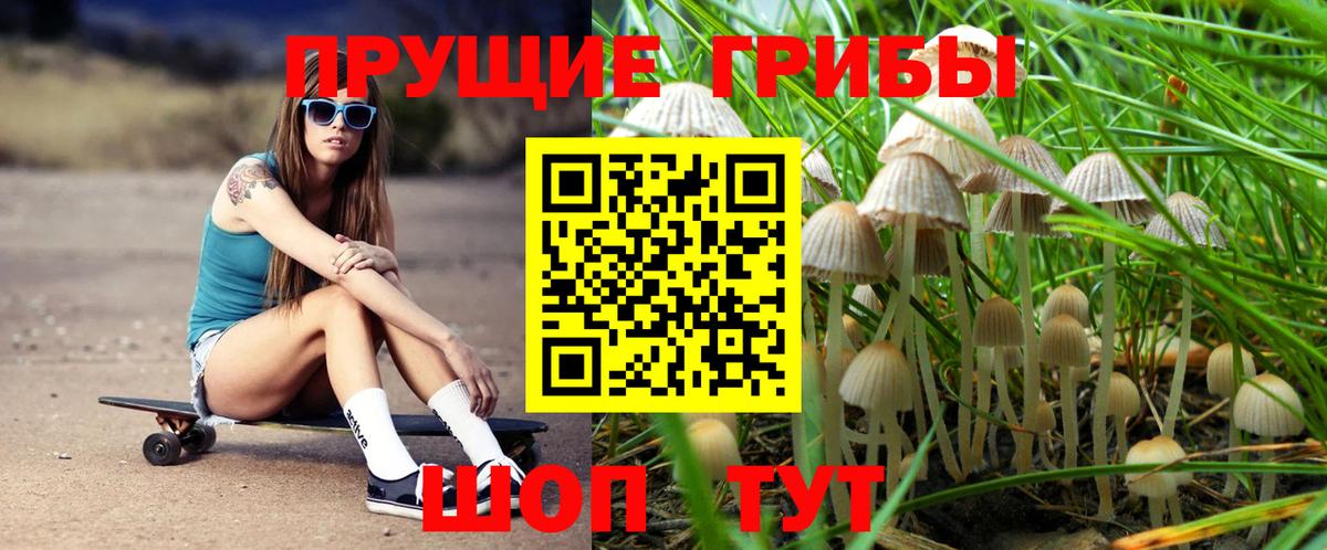 Светлоград  Галлюциногенные грибы Cubensis  Вход с VPN  Псилоцибиновые грибы Psilocybine cubensis 