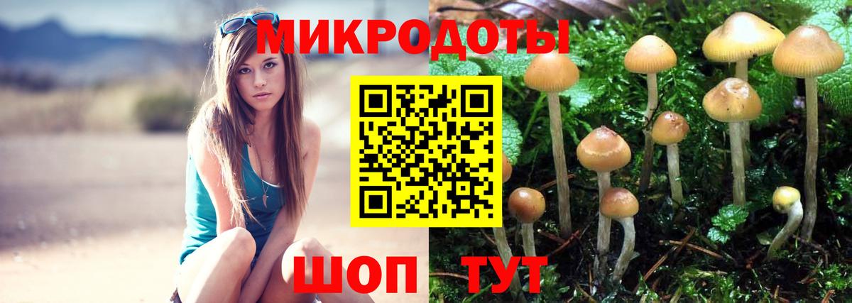 Псилоцибиновые грибы MAGIC MUSHROOMS Светлоград